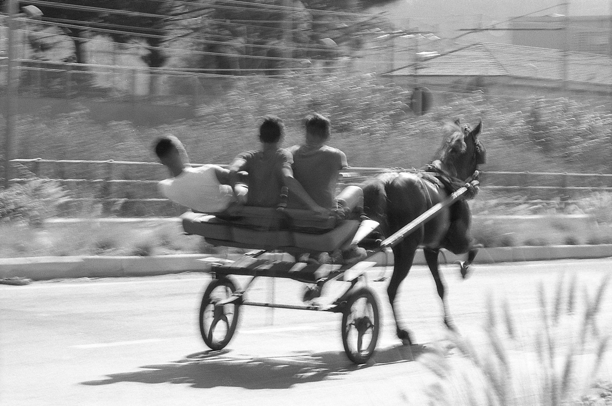 Allenamento di un cavallo in una larga via della zona industriale di Brancaccio. Palermo, 2017