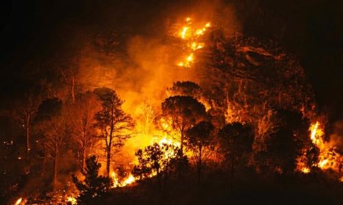 Incendio boschivo sul Monte Jato, in provincia di Palermo, durante la notte